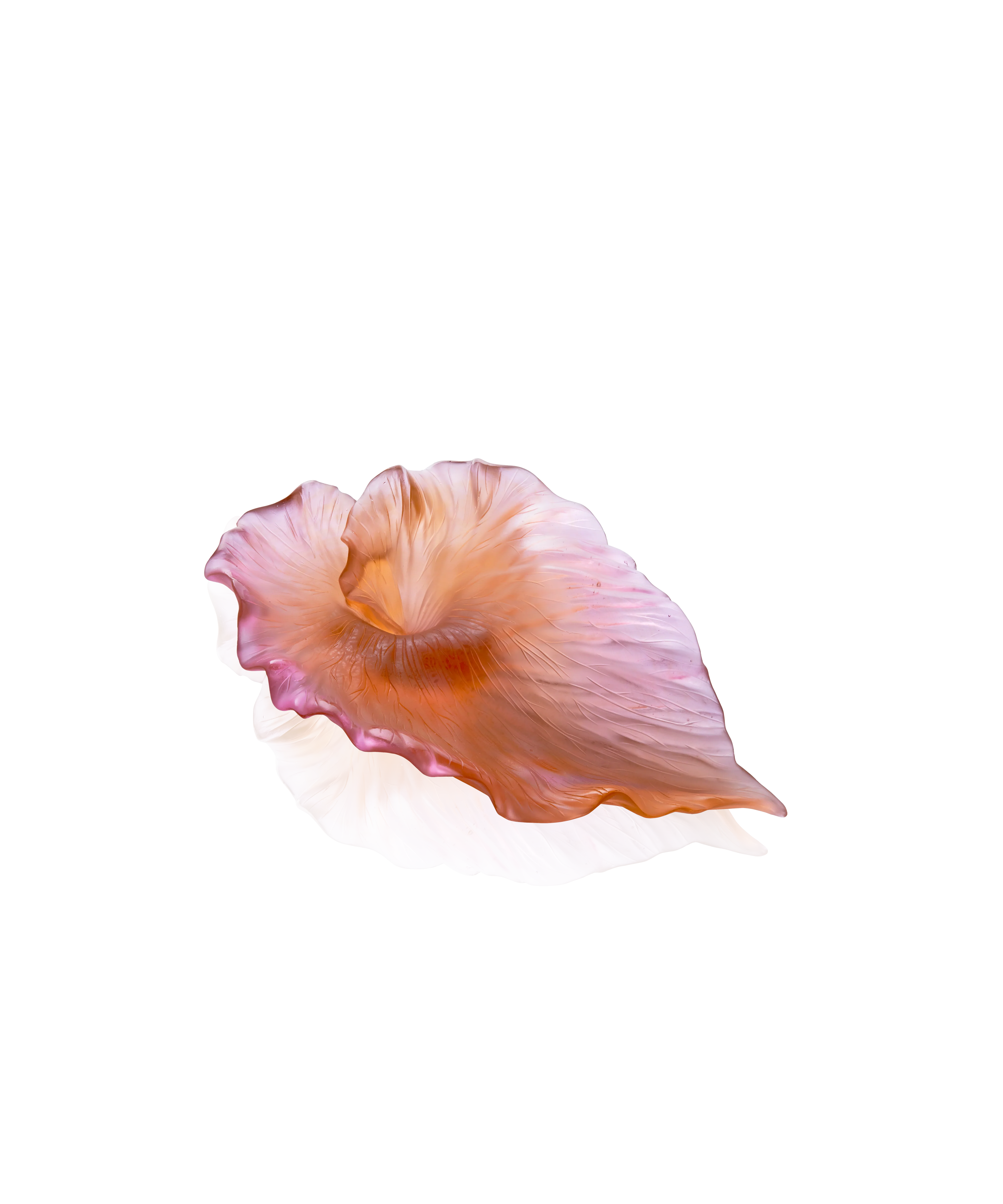 Arum Coupe Ambre-rose