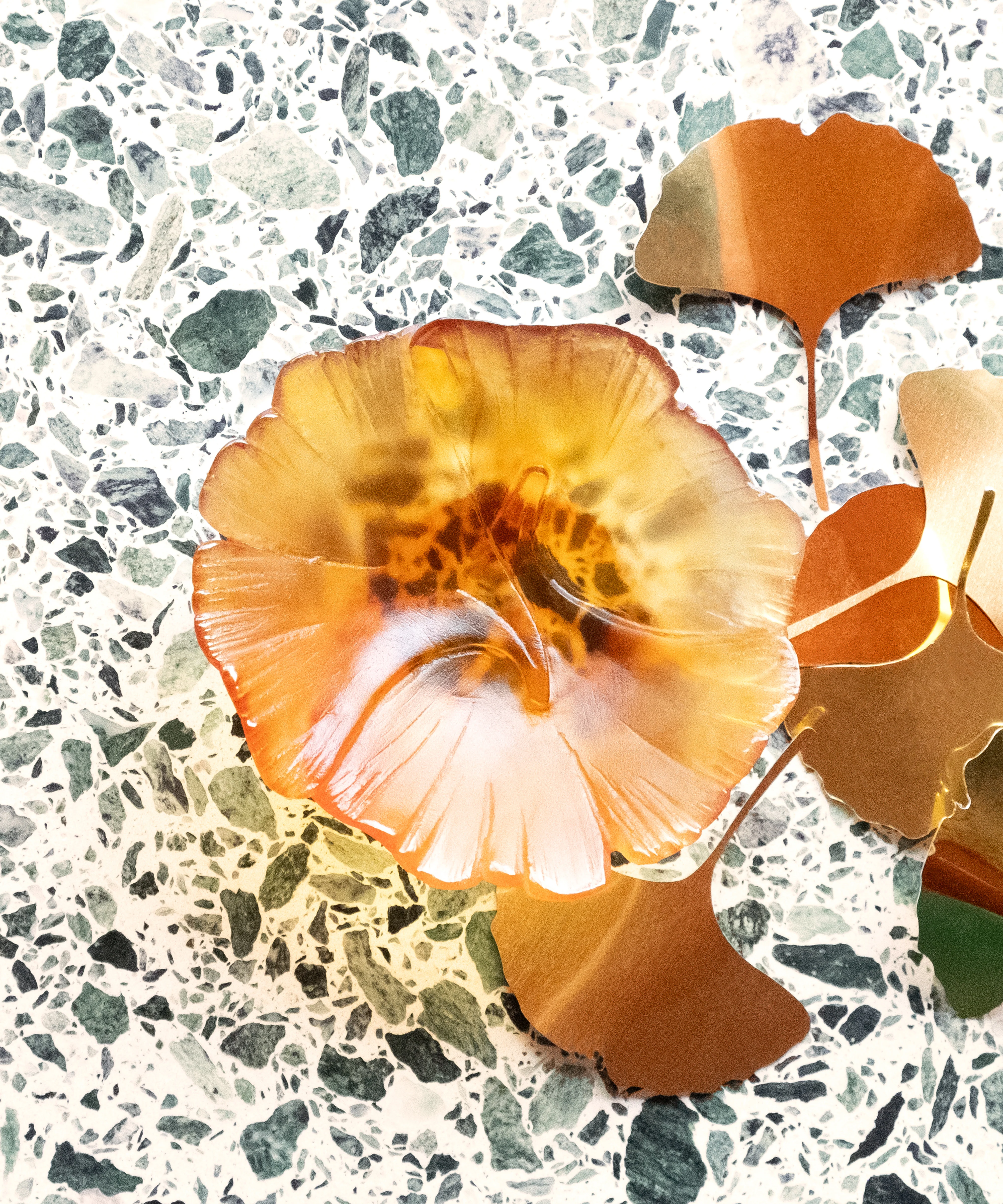 Ginkgo Coupelle Ambre - Image 2