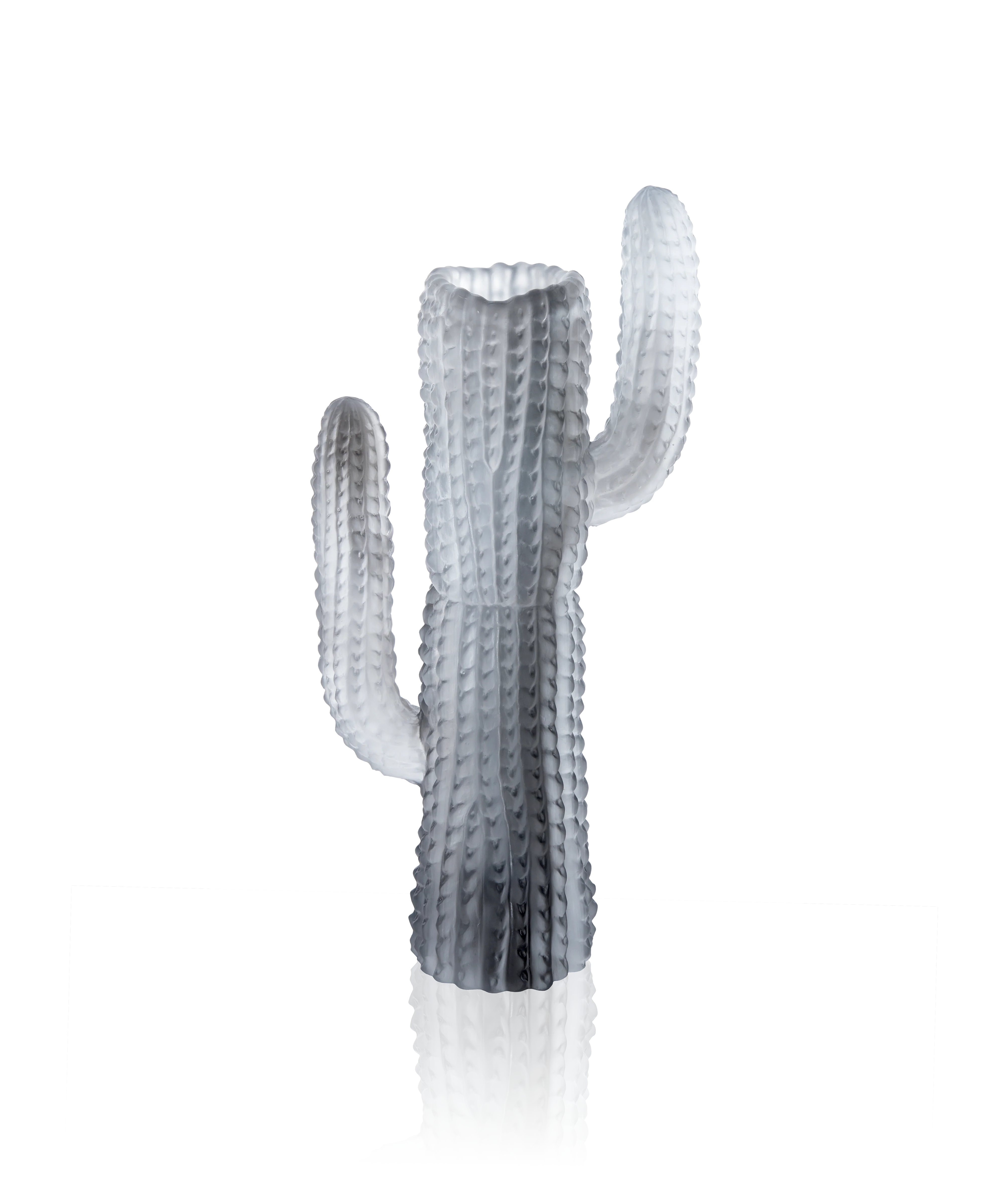 Jardin de Cactus Vase Gris de Emilio Robba