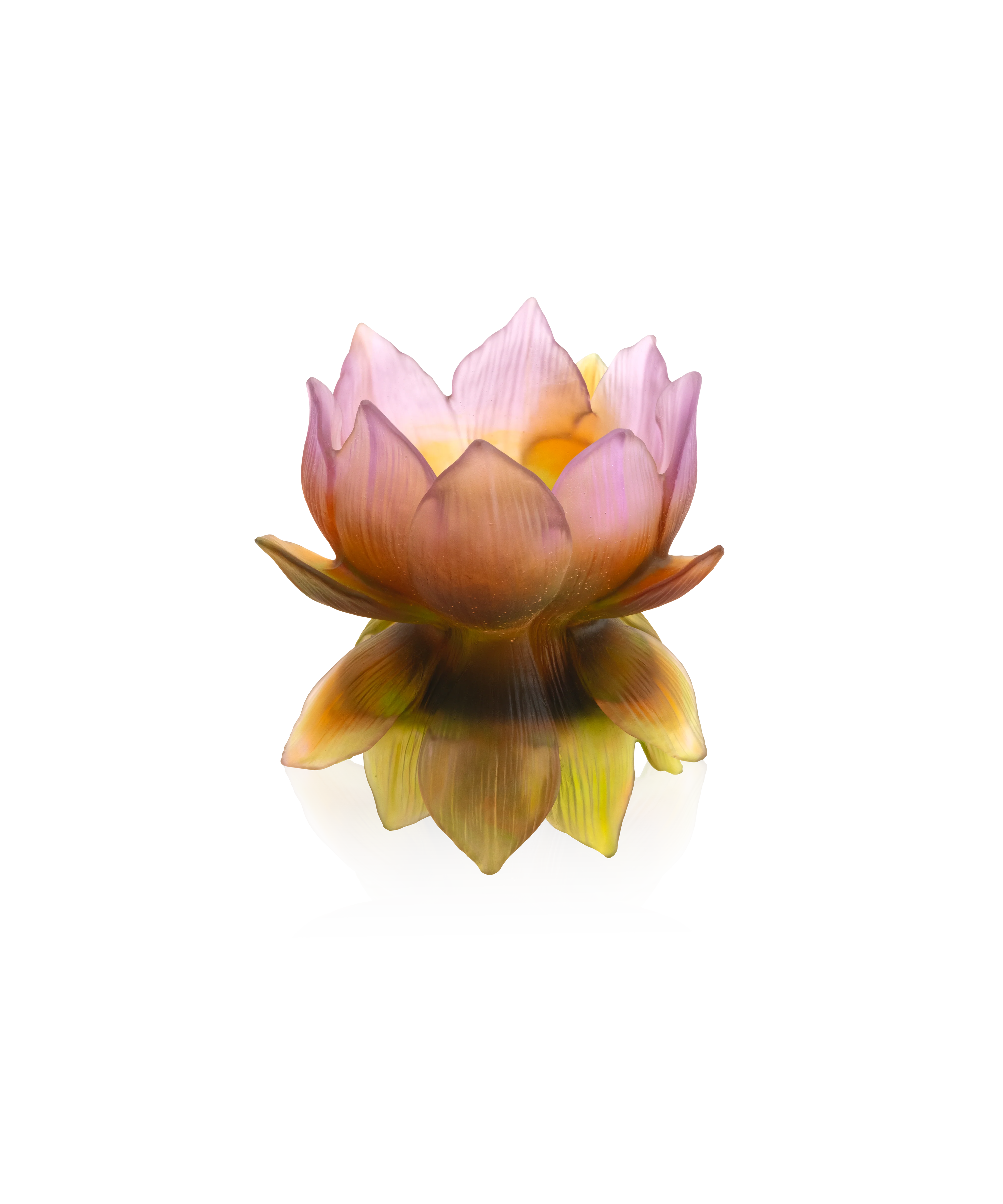 Jardin de Lotus Vase moyen modèle 175ex