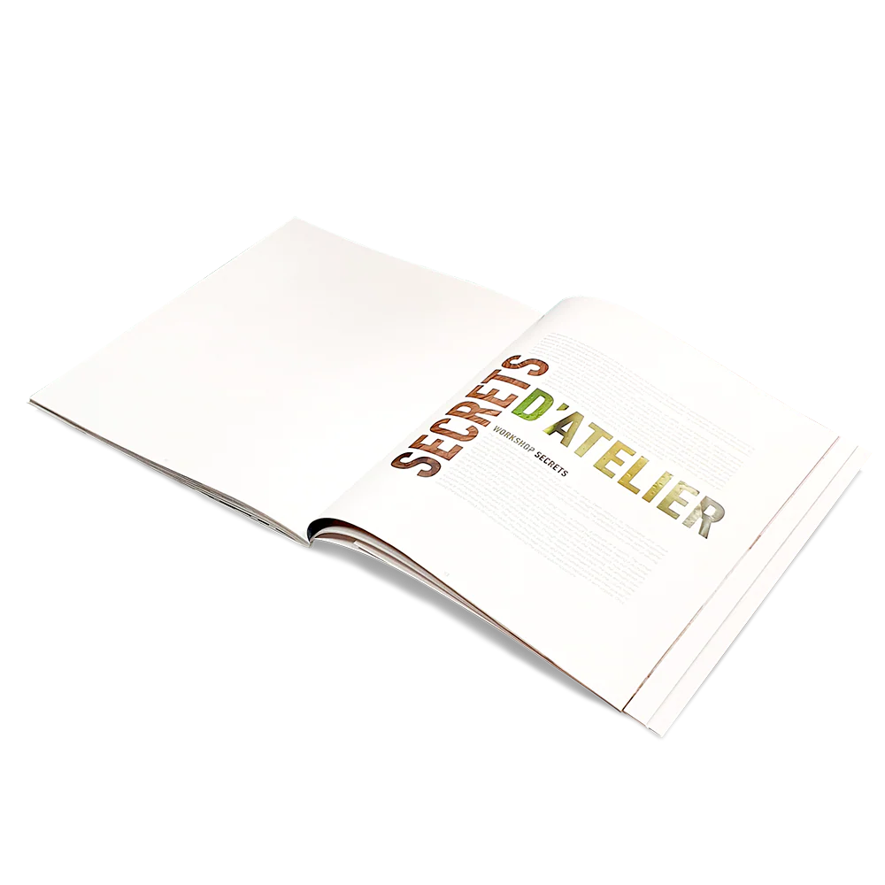Livre Daum - Collabs in Crystal Art Couverture "Paris with Love - Kongo" - Image 5