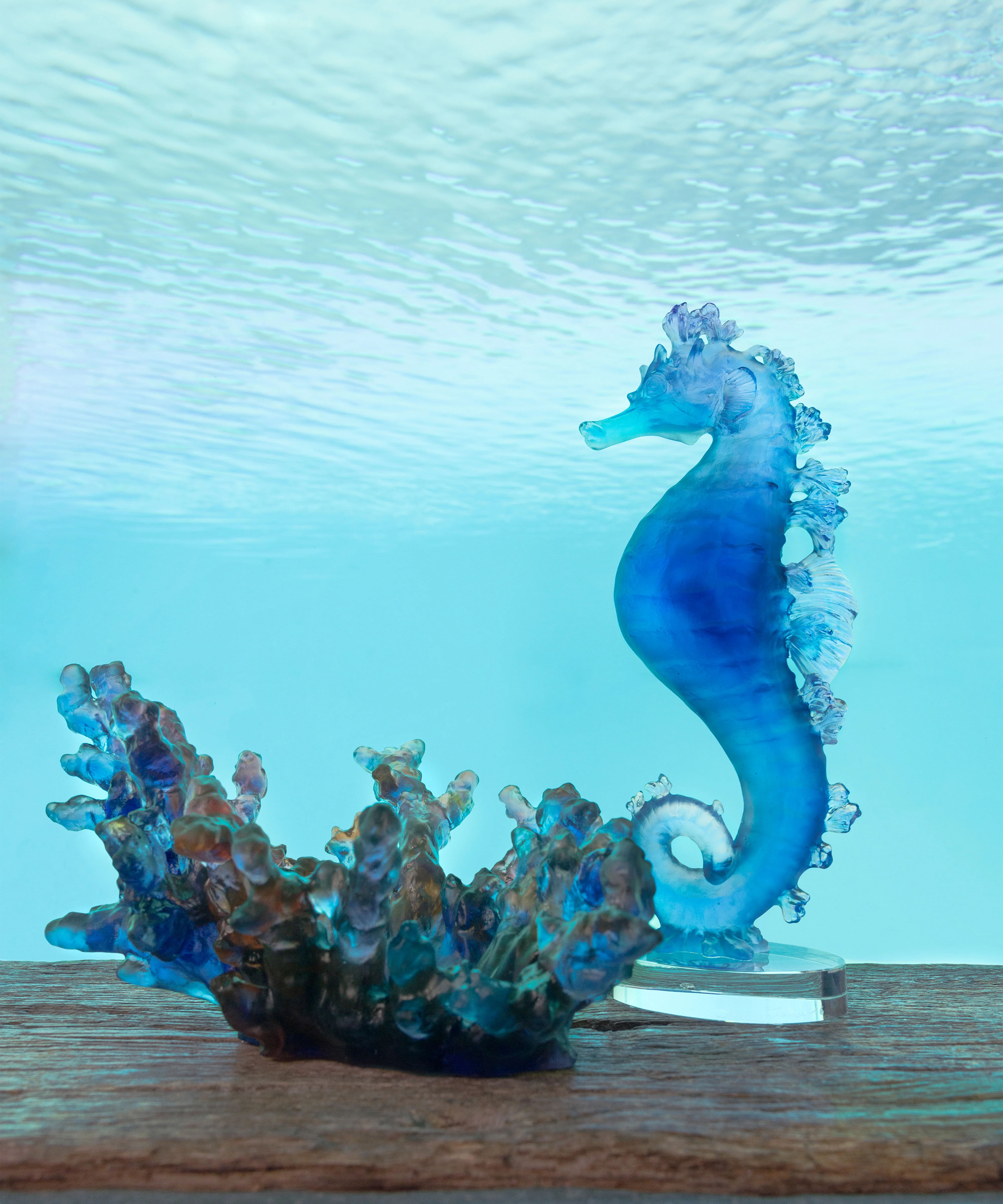 Mer de Corail Hippocampe Bleu et rose - Image 4