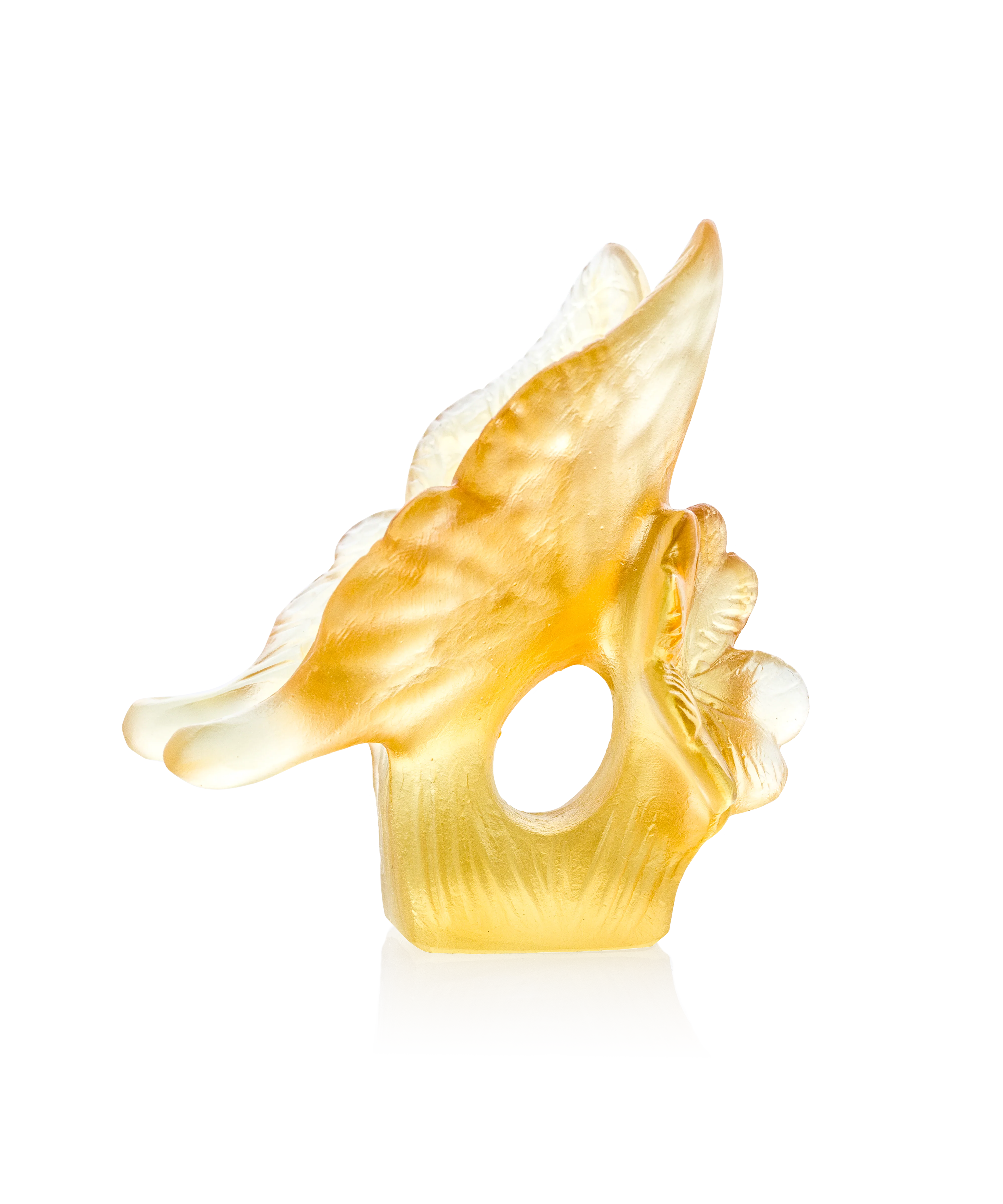 Papillon Ambre et jaune - Image 4