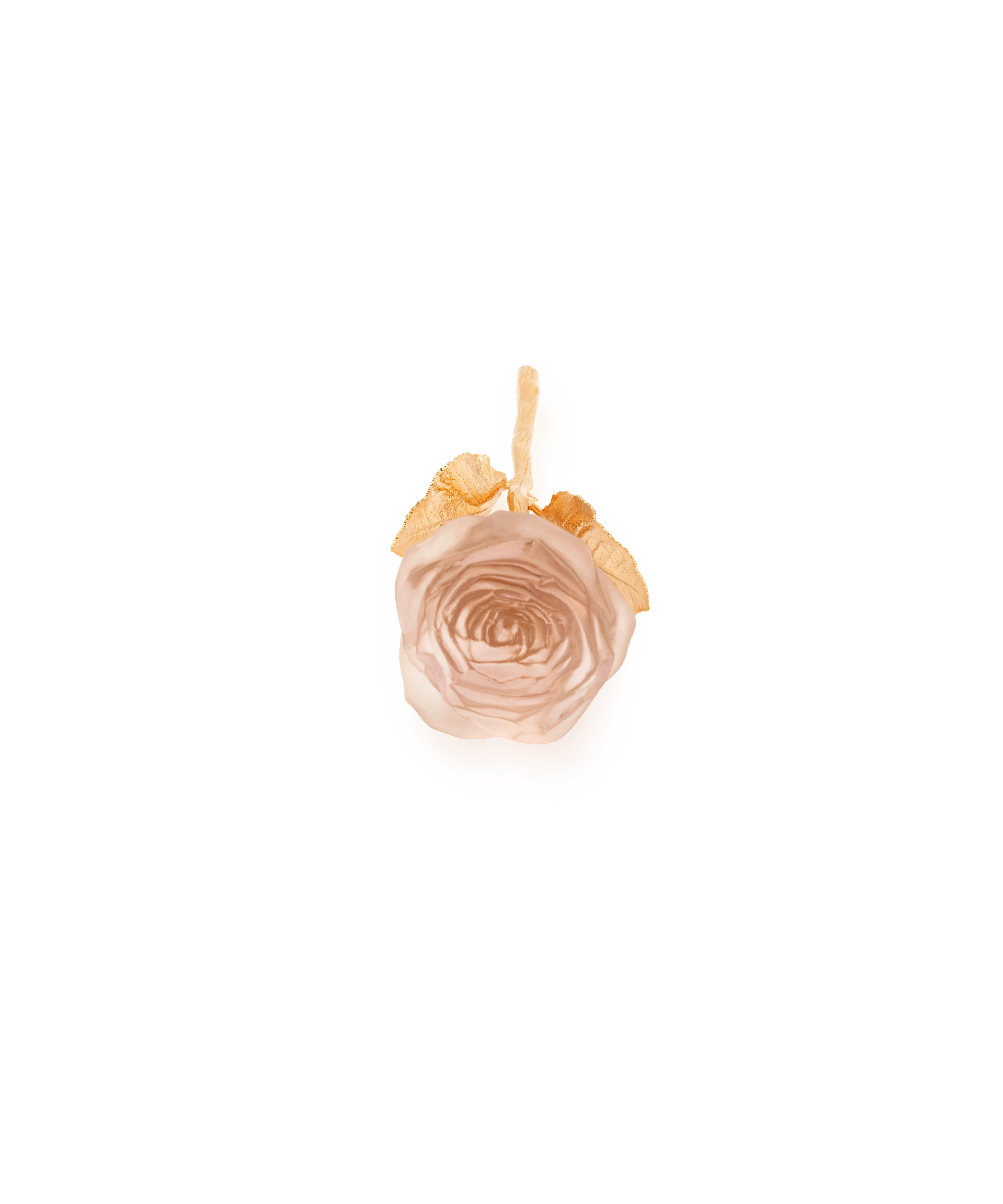 Rose Eternelle Rose poudré - Image 3